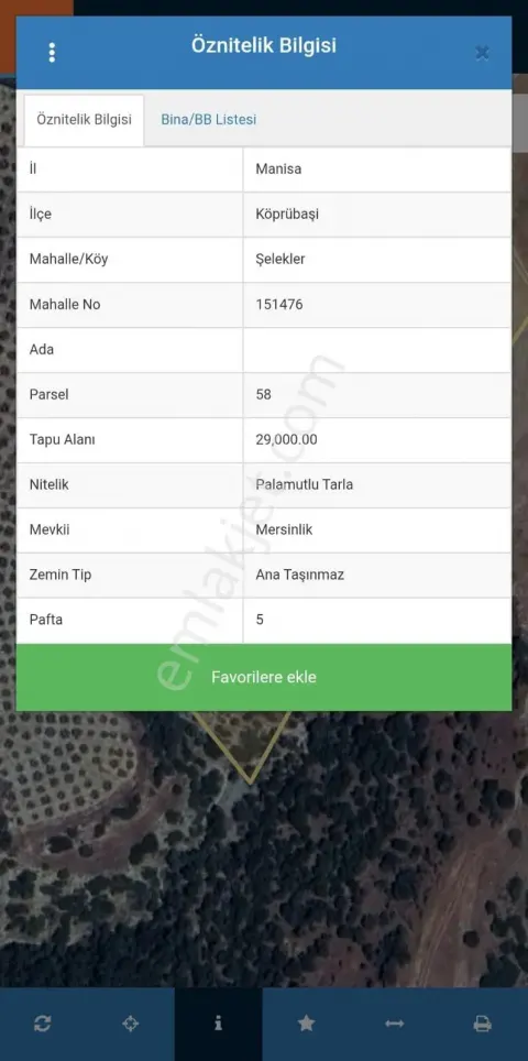 Sahibinden Manisa Köprübaşı 3 Yaşında Zeytinlik
