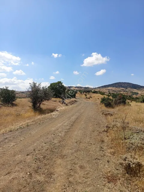 Sahibinden Çubuk Camili'de 1.728 M² Müstakil Tapulu – Yola Cepheli – Manzaralı Bağ