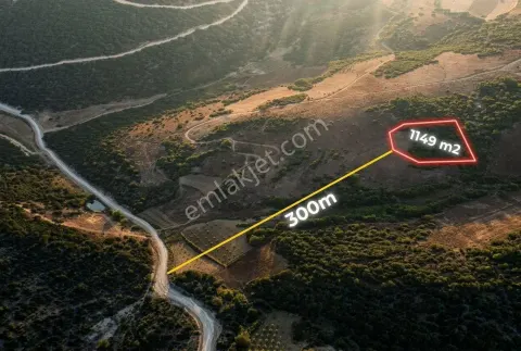 Sahibinden Bilecik Gölpazarı Söğütçük Köyünde 1149 M2 Tarla