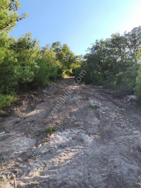 Sahibinden Bursa İnegol Boğazköy Barajr'na Hakim 610m² Satilik Göl Manzarall Arsa
