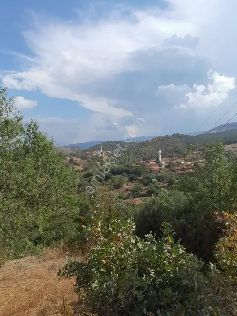 Sahibinden Doğa Manzaralı Köyiçi Arsa