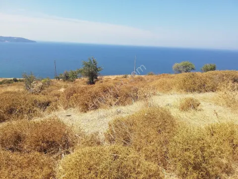Sahibinden Bandırma Hıdırköy'de Deniz Manzaralı 293m2 Satılık Arsa
