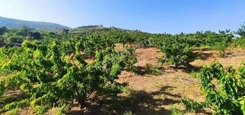 Sahibinden Sahibinden Satılık Kirazlık Ev Yapımına Uygun