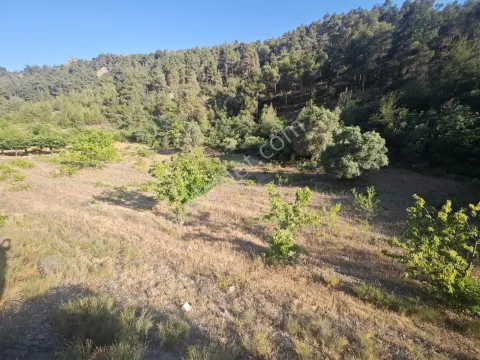 Sahibinden Kadastral Yolu Cephe