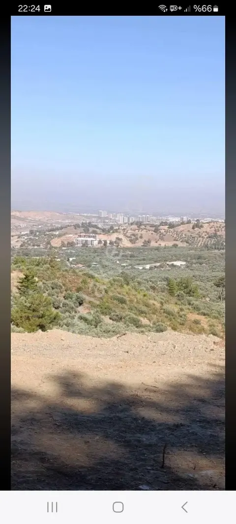 Sahibinden İrlamazda Muhteşem Manzaralı Zeytilik