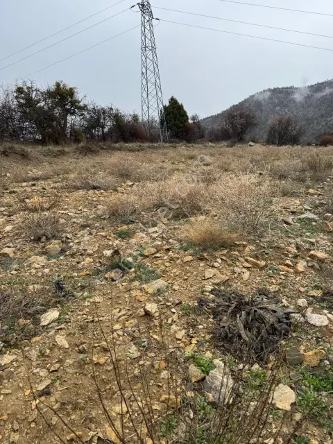 Sahibinden Denizli Çameli Cumaalanı Sahibden Satılık Tarla