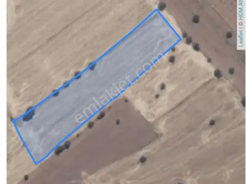Sahibinden Kula Esenyazı'da Satılık 4646 M² Geniş Tarla