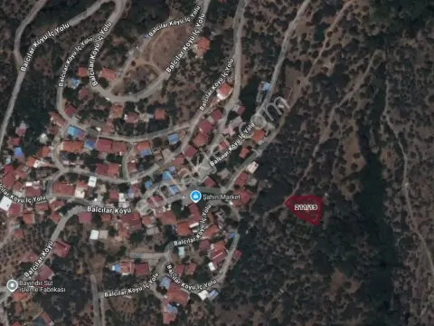 Sahibinden Bayındır Balcılar’da Satılık 680 M² Köyiçi Zeytinlik Tek Tapu