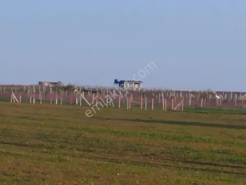 Sahibinden Satılık Tarla
