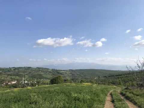 Sahibinden Tarla Satılık & Takas