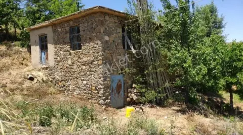 Sahibinden Konya Hadim Gezlevinde Kuyu Suyu Elektrik Olan Dag Evi 11 Bin Metre Kare