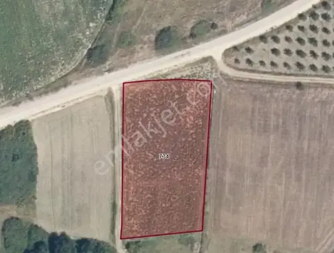 Karacabey,sahibinden Satılık Tarla,
