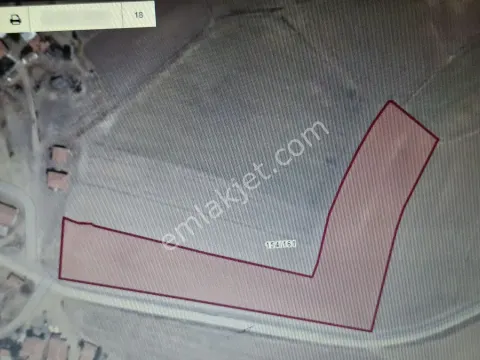 Sahibinden Satlık Tarla