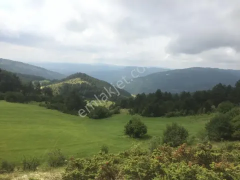 Sahibinden Bolu,mudurnu, Karapinarkavşagi