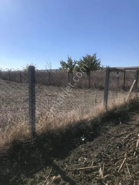 Sahibinden İstanbul Silivri Seymen