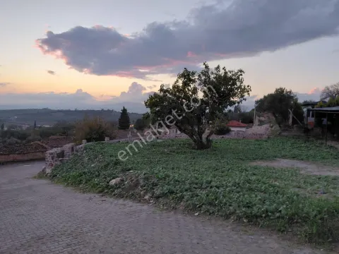 Sahibinden Manisa Saruhanlı Kepeneklide 540 Metre İmarlı Satılık Arsa
