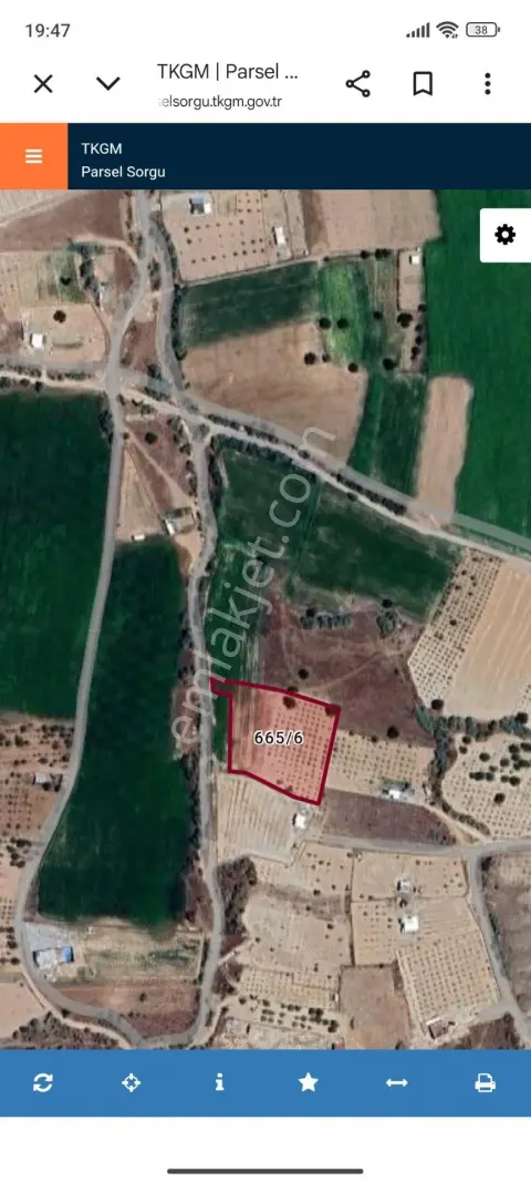 Sahibinden Çat Kasabası Çeşmecivarı Mevki 4660 Metrekare Bakimli Bağ+tarla