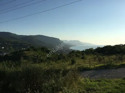 Sahibinden Cide Cumhuriyet Mahallesinde Konut İmarlı Muhteşem Manzaralı Arsa 1154 M2