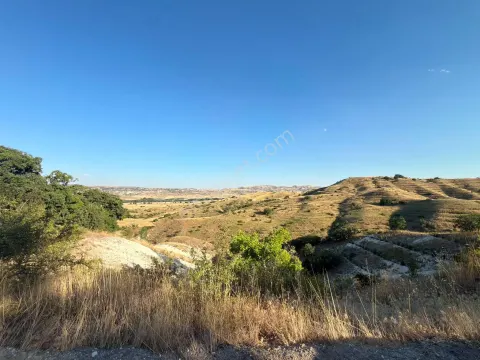 Sahibinden 7802 M2 Bağ Yeri Arsa
