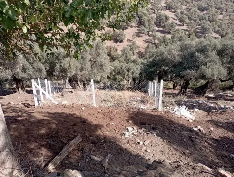 Sahibinden Çenikler Köyiçi 608m2 Müstakil Tapu Zeytinlik