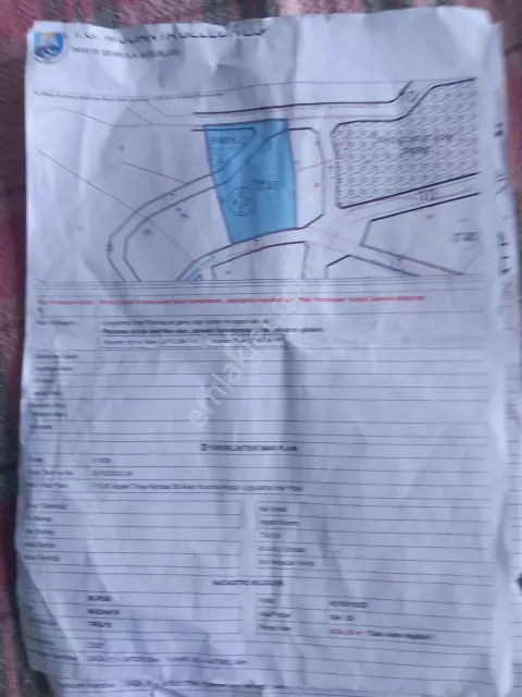 Mudanya Trilyede 1/3 Hisseli Satilik Sahibinden Arsa