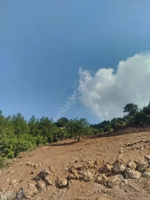 Sahibinden Doğa Manzaralı Satılık Tarla!