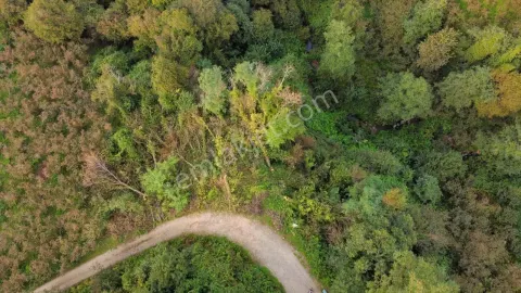 Sahibinden Çaytepede Fırsat İmarlı Kupon Arsa