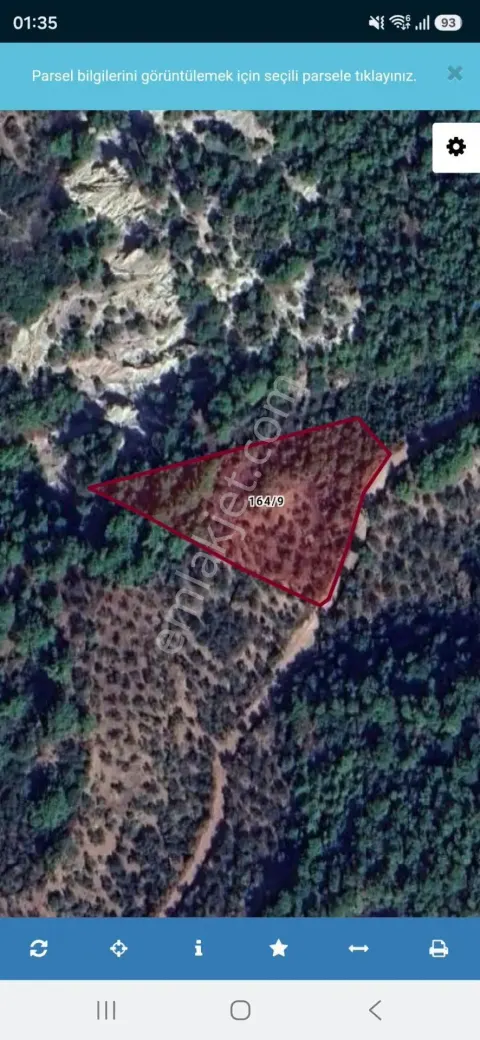 Sahibinden Ayvacık Sazlı Köyü'nde 3742 M² Satılık Zeytinlik