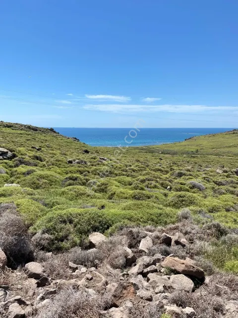Sahibinden Aydıncık (kefaloz)da Denize 200 Metre Sahibinden Satılık