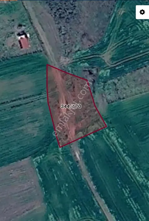 Sahibinden Satılık Hisseli Tarla Yatırımlık Yola 4 Mt Cephe