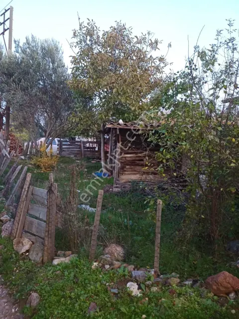 Sahibinden Bayramiç Nebiler Köyü'nde Satılık 140 M² Bahçe