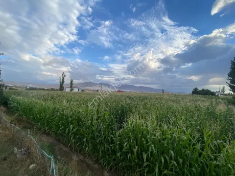 Sahibinden Aktaş Yeni Mahallede 4353m2