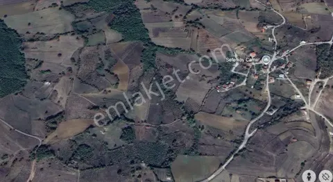 Sahibinden İzmit - Böğürgen'de 12 Dönüm Kupon Tarla