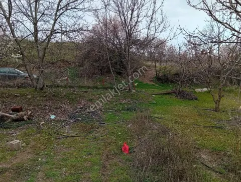 Sahibinden Isparta Yakaören Köyü Satılık 2051 M² Meyve Bahçesi