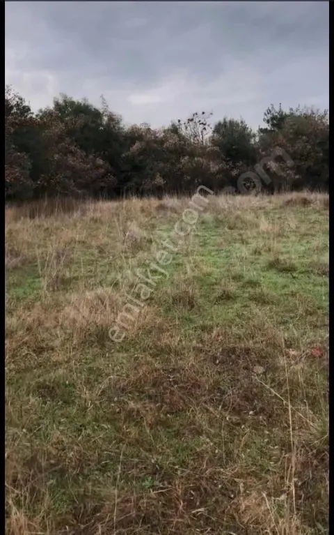 Sahibinden Hacıköy Satılık Tarla