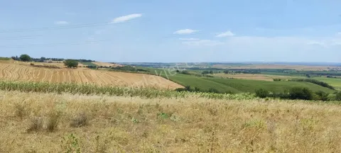 Sahibinden Satılık Tarla