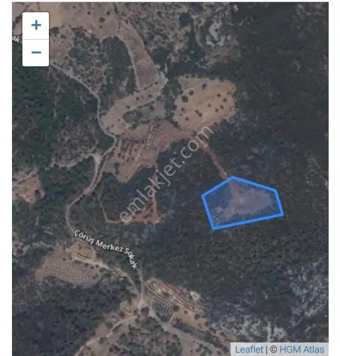 Sahibinden Satılık, Kuyusu İçinde Tarla
