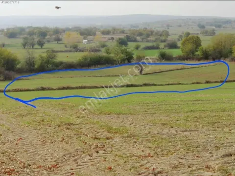 Sahibinden 3072 M2 Tek Tapu Yatırımlık Tarla