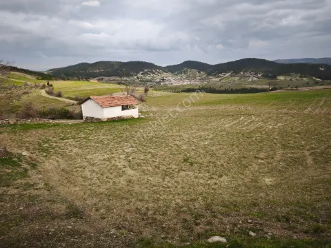 Sahibinden Tarla