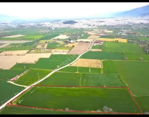 Sahibinden Tire Merkeze 2 Dk Mesafede 17.000 M2 Düz Verimli Asfalt Kenarı Tatla