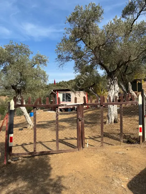 Sahibinden İzmir Bayındır Arsa