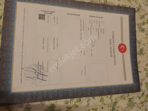 Sahibinden Bilecik 3. Osb Komşuluğunda 3.013 M² Müstakil Tapulu Satılık Tarla