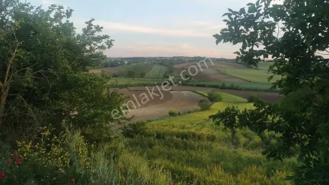 Sahibinden Çavuşköy'de Köye Yakın Tarlanın 1/5 Hissesi Satılık