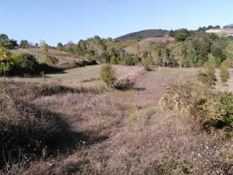 Köy İçinde Düz Arazi.sahibinden
