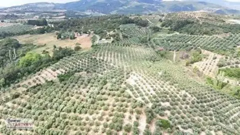 Sahibinden Hissemi Satıyorum