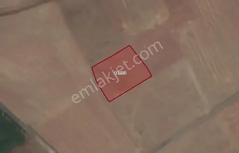 Sahibinden Meram Kızılören'de Satılık 1513 M² Geniş Tarla