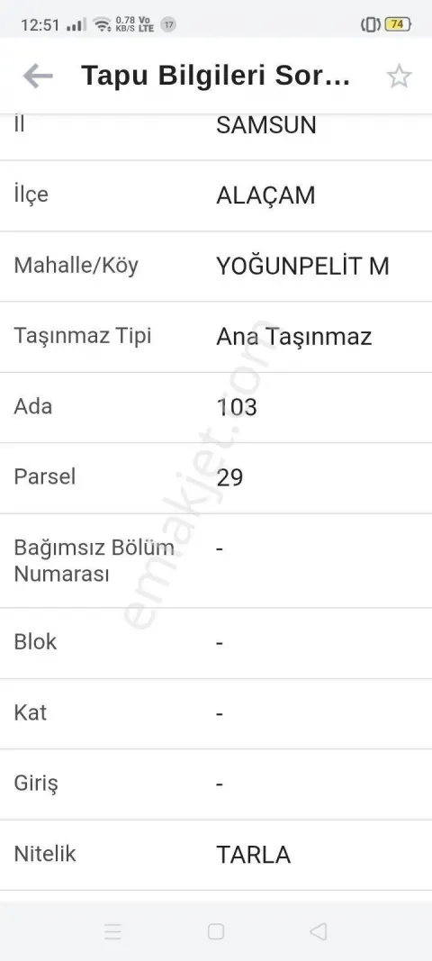 Sahibinden Alaçam Yoğunpelit Acil Satılık Tarla