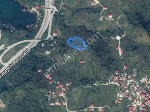 Sahibinden Acil Satılık !!!!!!!!!! Deniz Manzaralı Yola 150 Metre, Tek Tapu Satılık Fındık Bahçesi