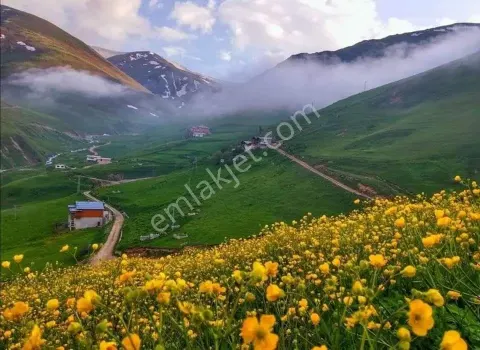 Sahibinden Fırsat !!! Arsa Rizenin Güzel Yaylalarından Biri Rize İkizdere
