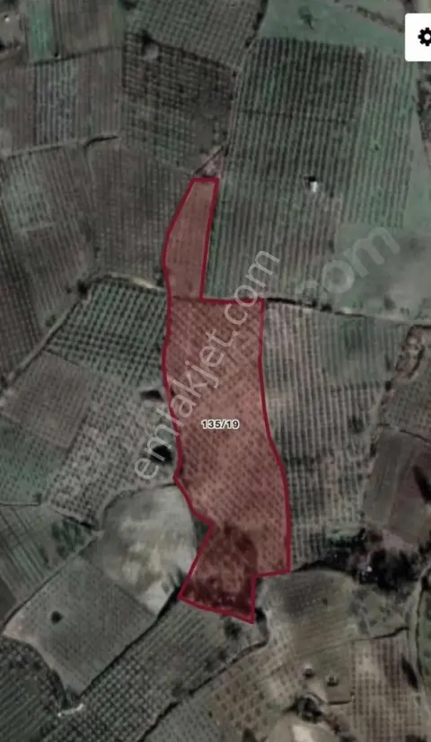 Sahibinden İnegöl’e 5 Km, 700 Ağaçlı Kısa Süreliğine Kupon Elma Bahçesi